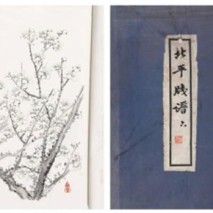 (« Catalogue du papier à lettre de Pékin », image sur http://pmgs.kongfz.com/detail/25_202862/ )